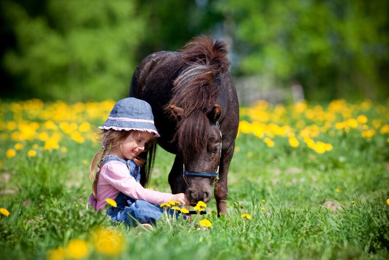 Girl with Pony in Field — Green