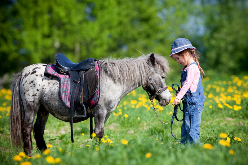 Girl with Pony in Field