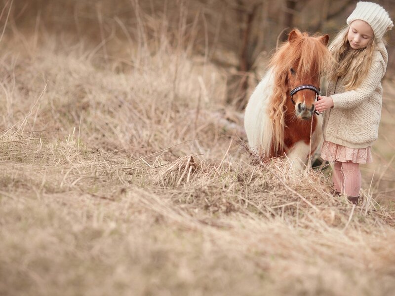 Girl with Pony