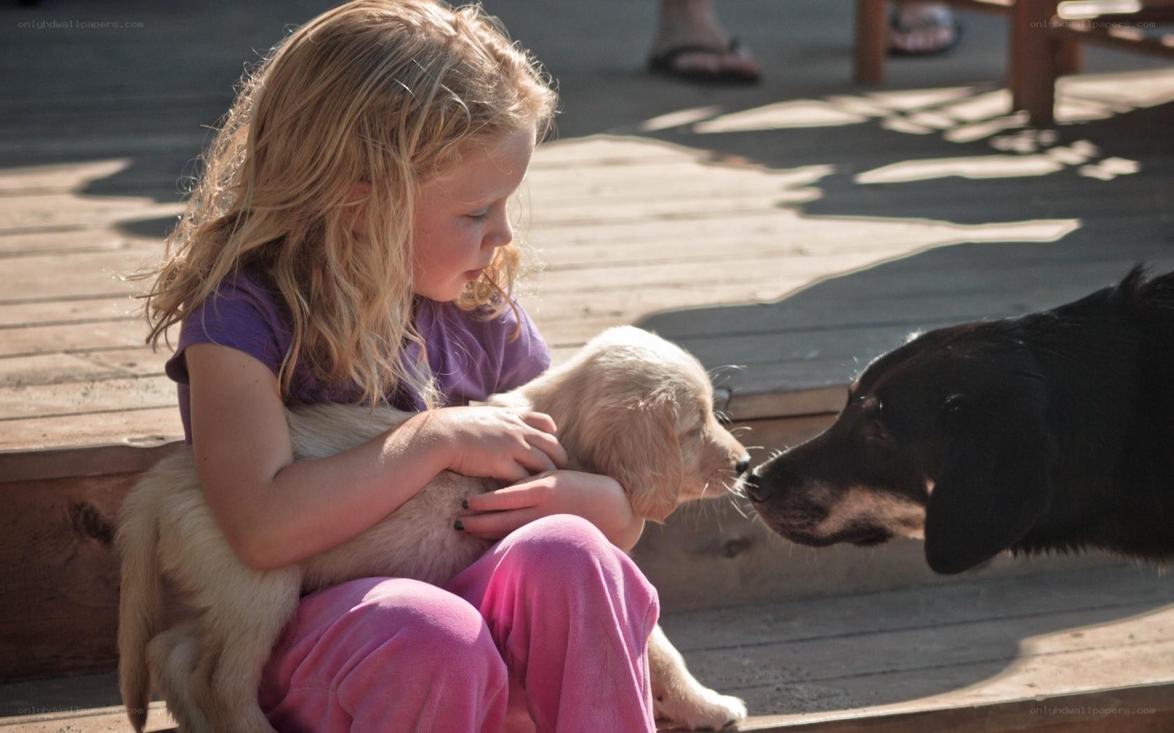 Girl with puppies on deck
