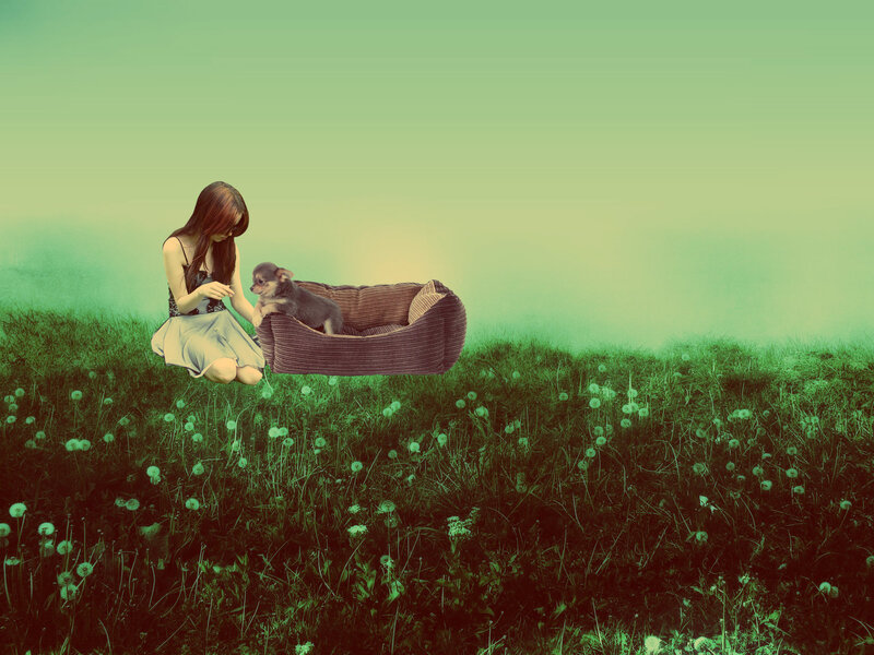Girl with Puppy in Field