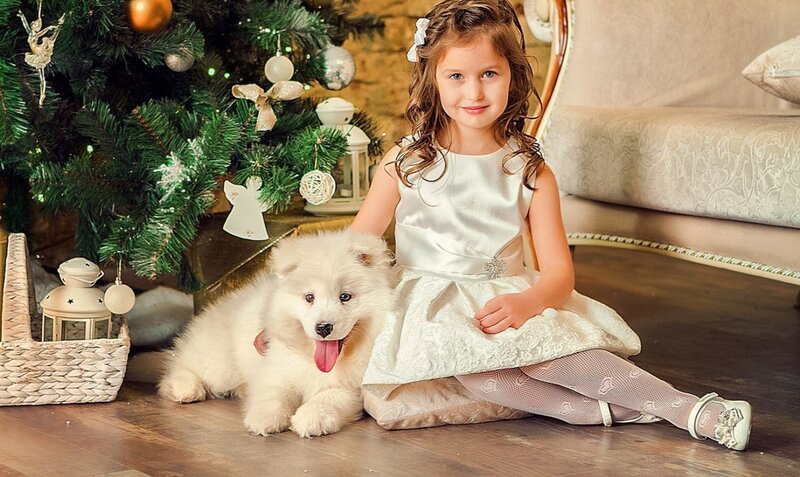 Girl with Puppy — White