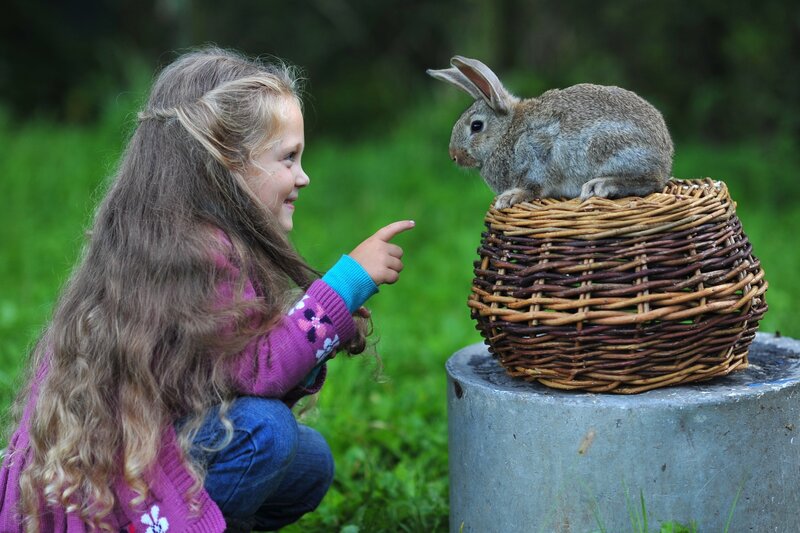 Girl with Rabbit — Green, Peaceful