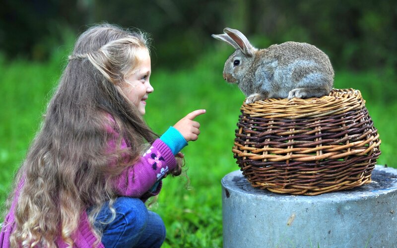 Girl with Rabbit in Basket — Green