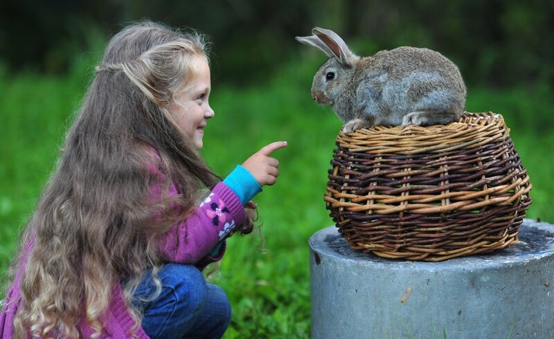 Girl with Rabbit in Basket