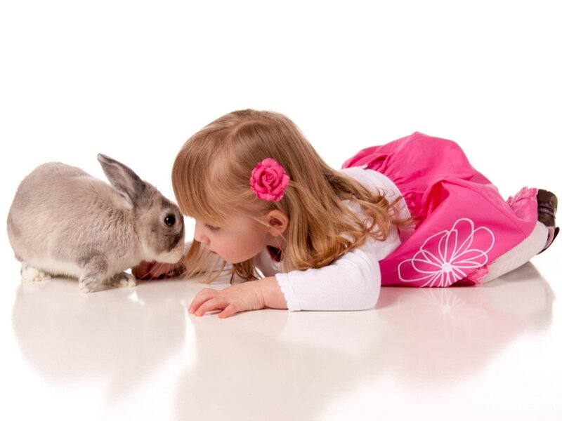 Girl with Rabbit — Pink