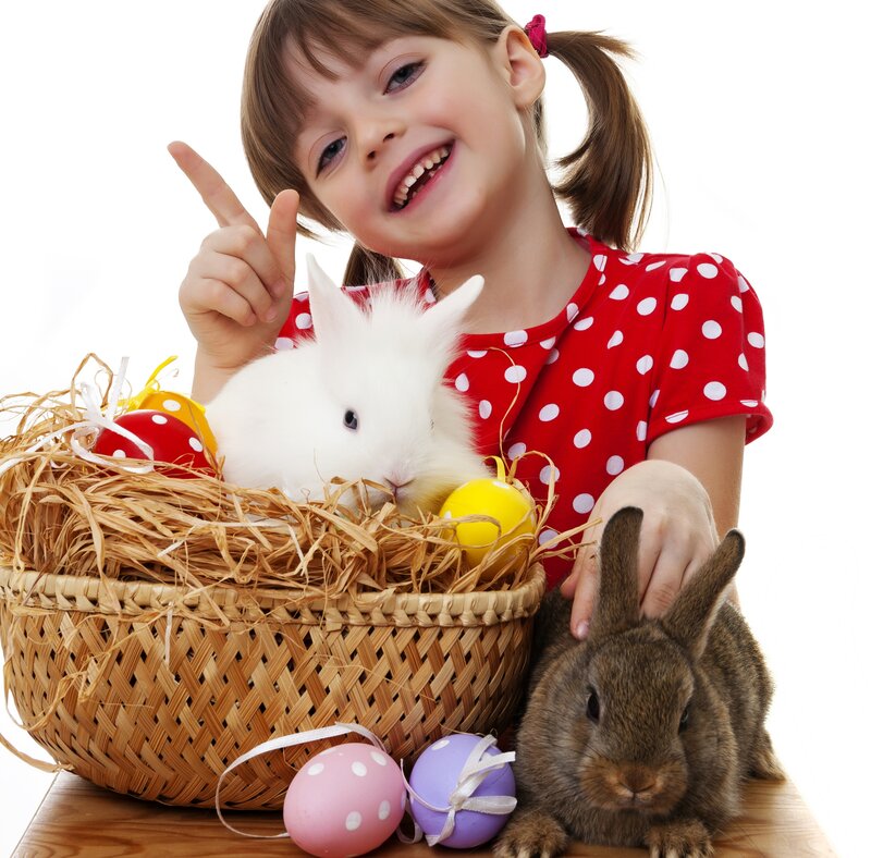 Girl with Rabbits and Eggs