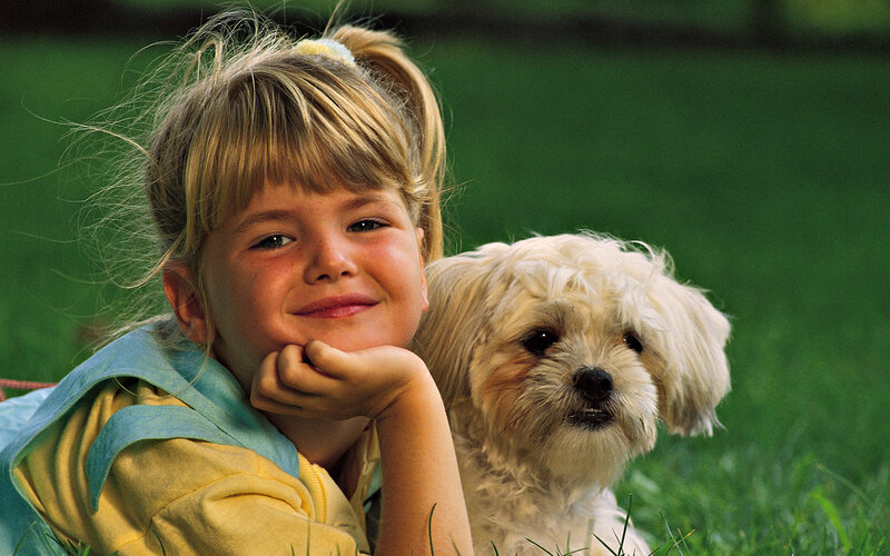 Girl with Small Dog — Green