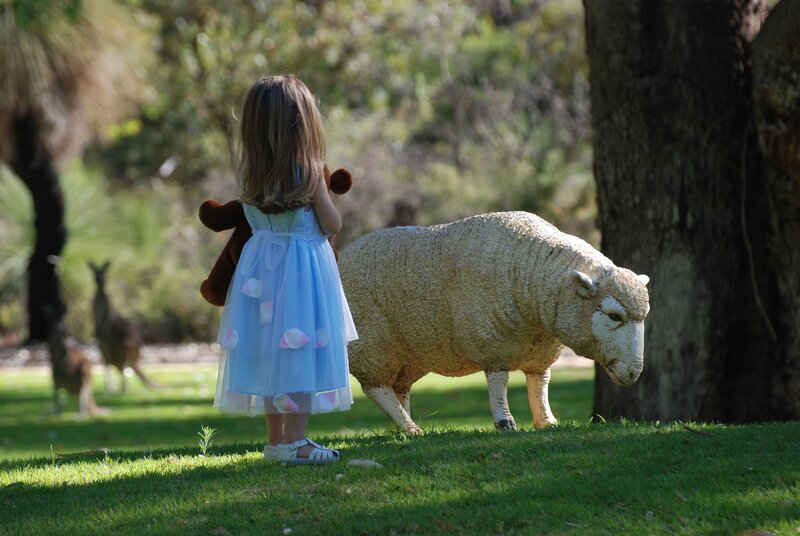 Girl with stuffed animal and sheep