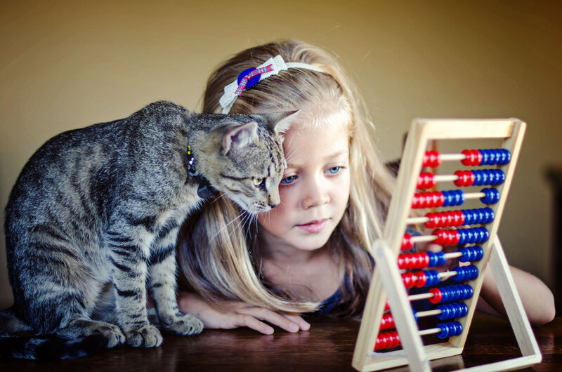 Girl with Tabby Cat — Brown