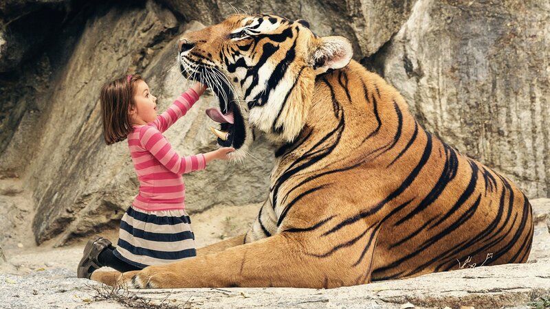 Girl with Tiger — Orange