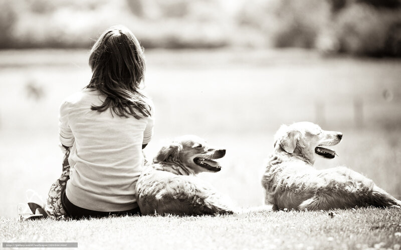 Girl with Two Dogs — Black