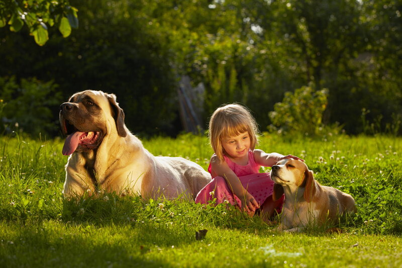 Girl with Two Dogs — Green, Peaceful