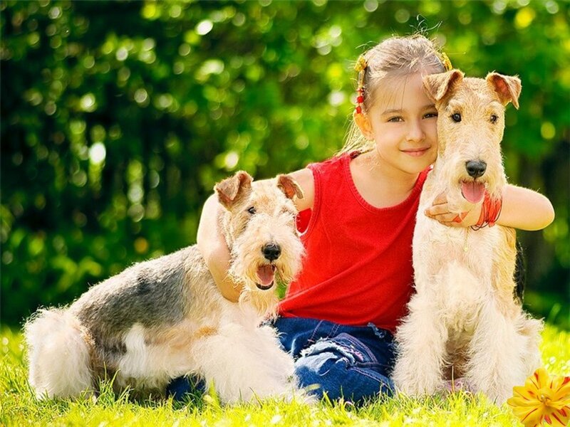 Girl with Two Dogs — Green