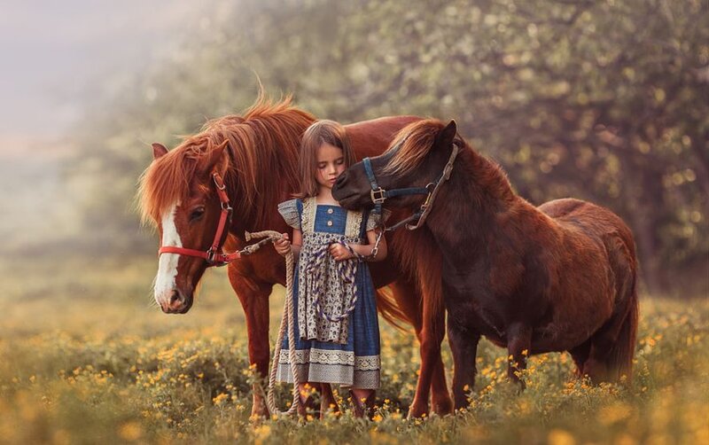 Girl with Two Horses — Brown, Serene