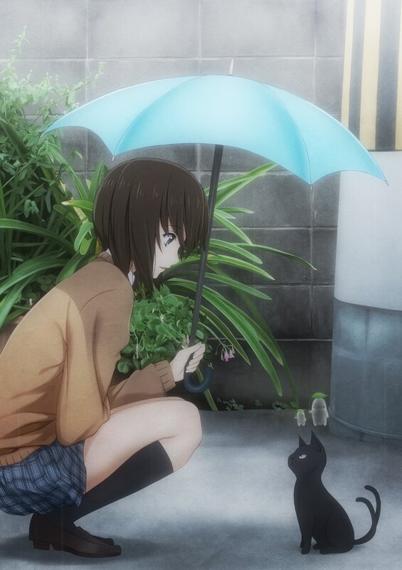 girl with umbrella and cat