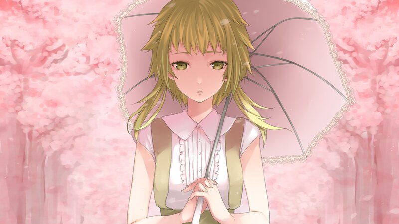 girl with umbrella in cherry blossoms