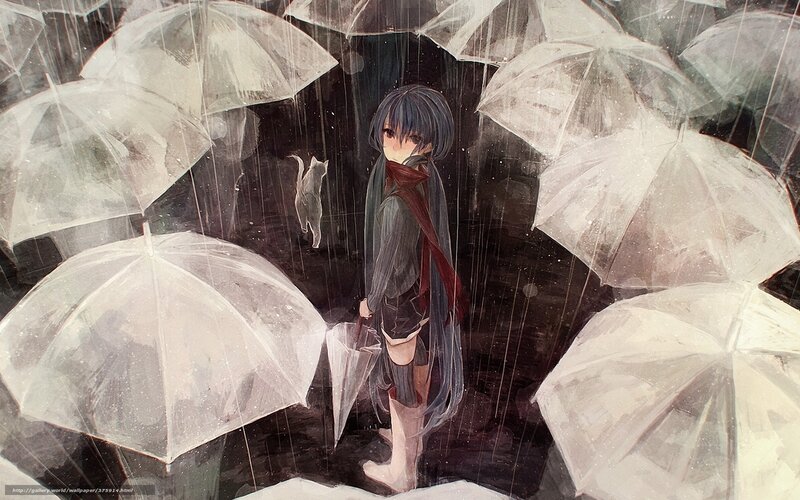 Girl with umbrellas in rain