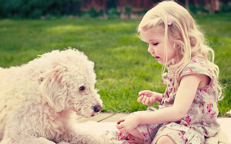 Girl with White Dog — Green