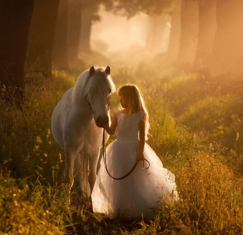Girl with White Horse — Serene, Sunset