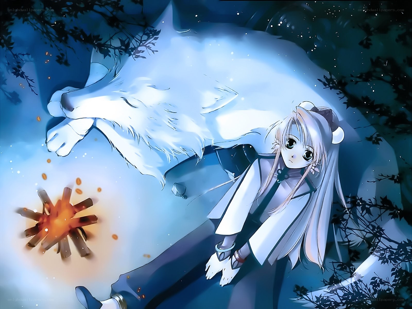 girl with white wolf at night