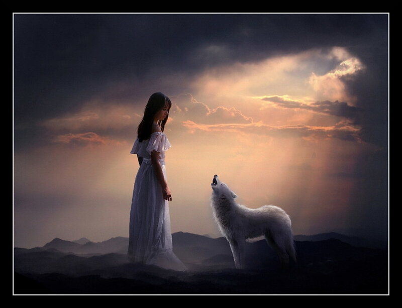 girl with white wolf at sunset