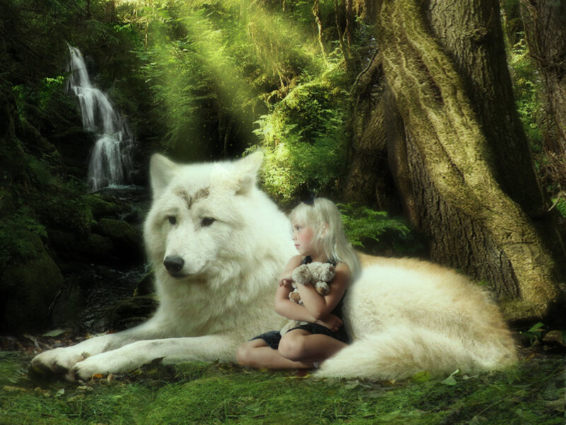 Girl with White Wolf — Green, Serene, Afternoon