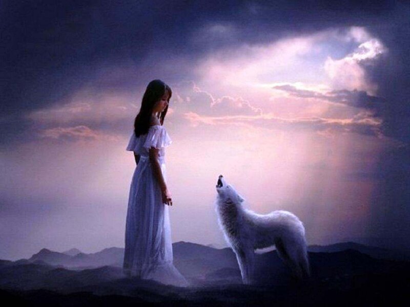 Girl with White Wolf — Purple, Dramatic