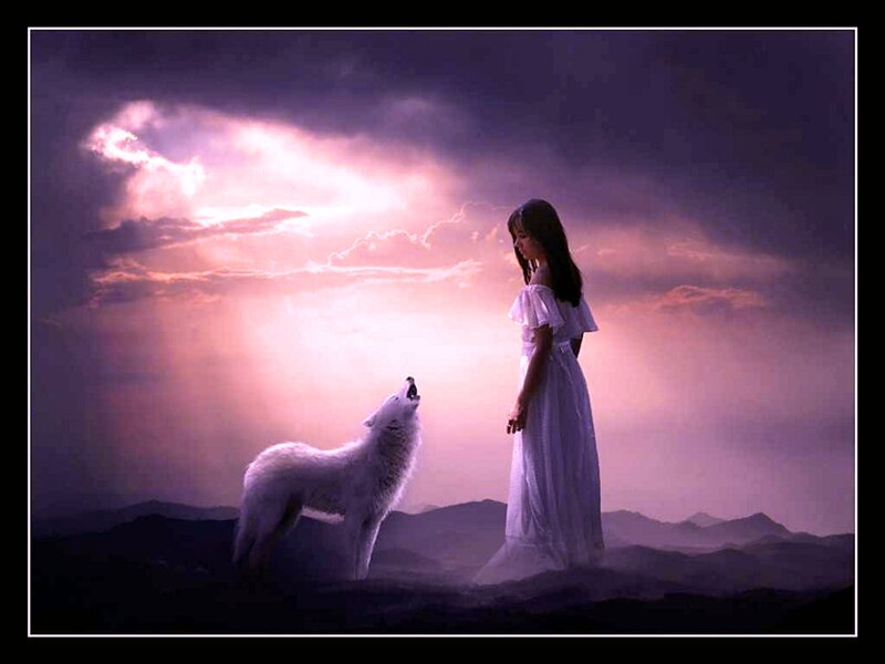 Girl with White Wolf — Purple