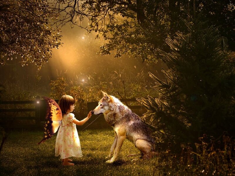 Girl with Wolf — Green, Serene, Night