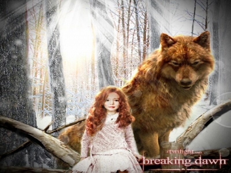 Girl with Wolf in Forest — Brown