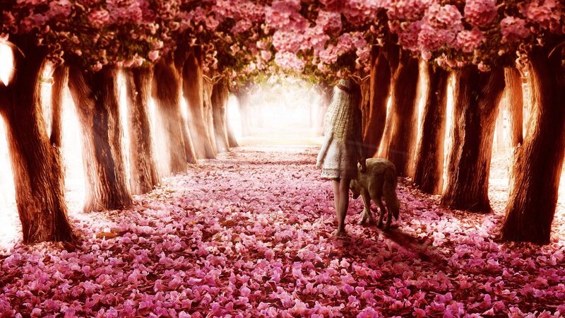 Girl with Wolf in Garden