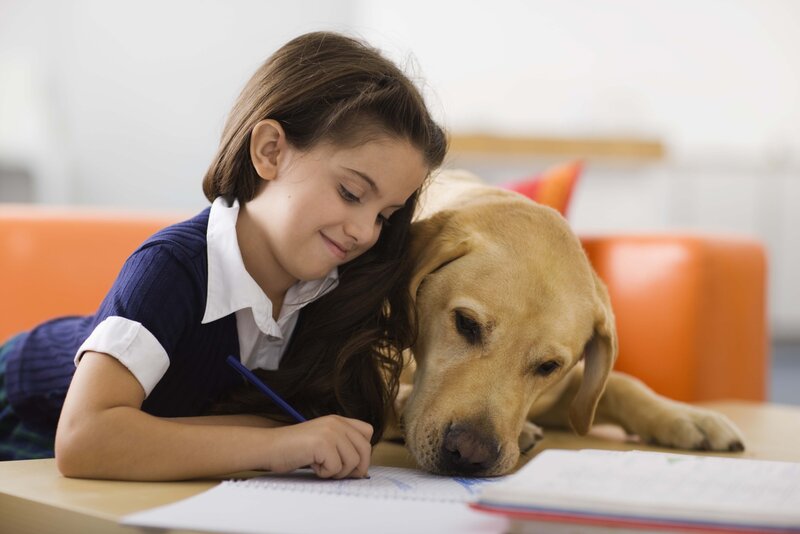 Girl Writing with Dog