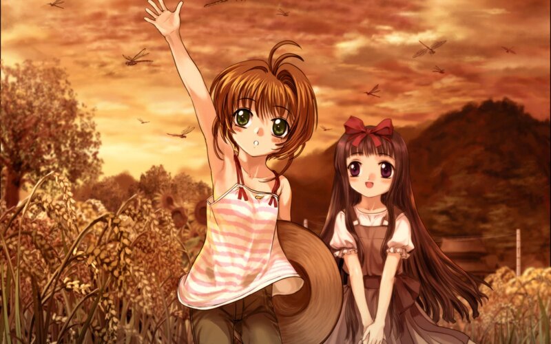 girls in a field at sunset