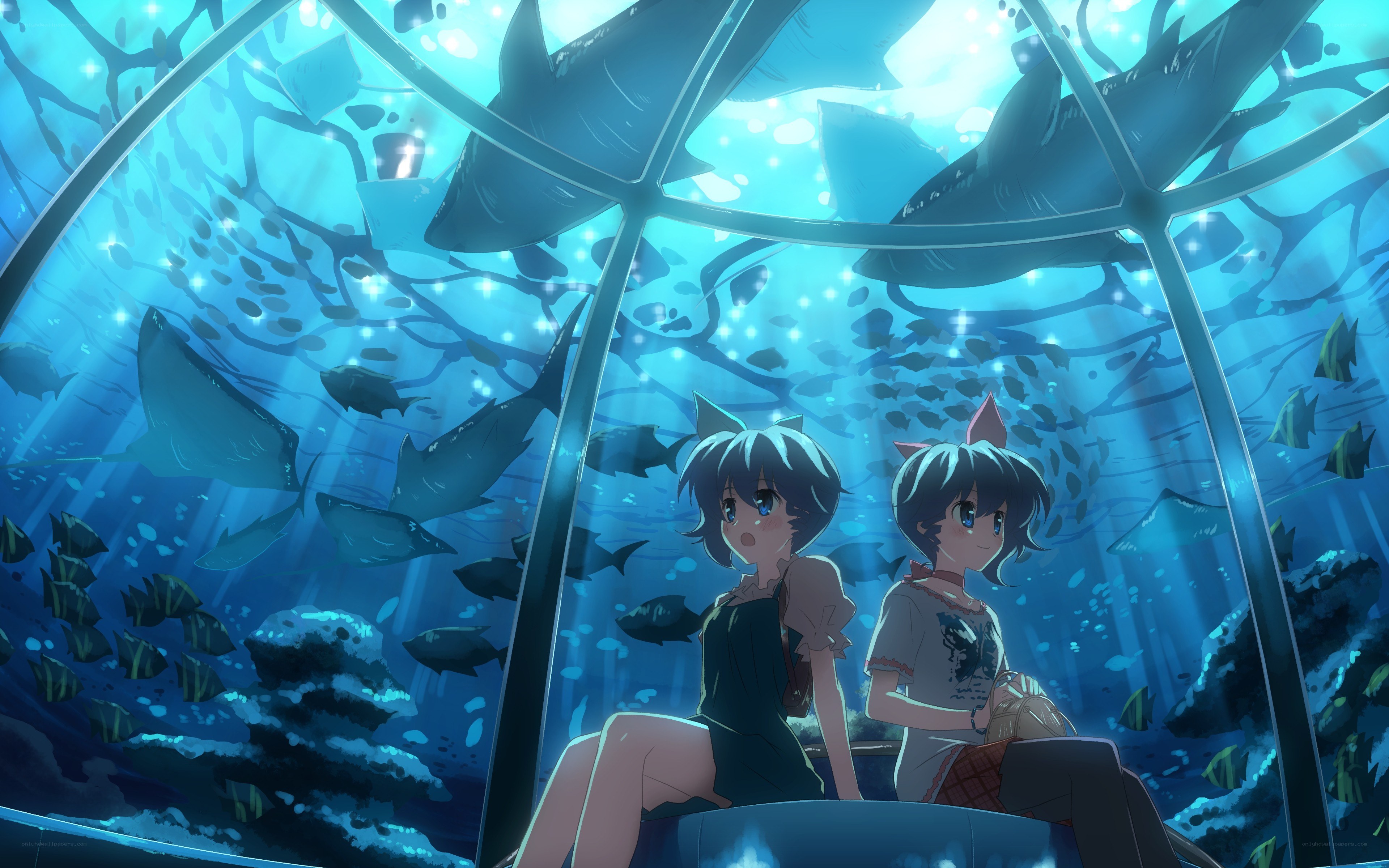 girls in aquarium viewing pod