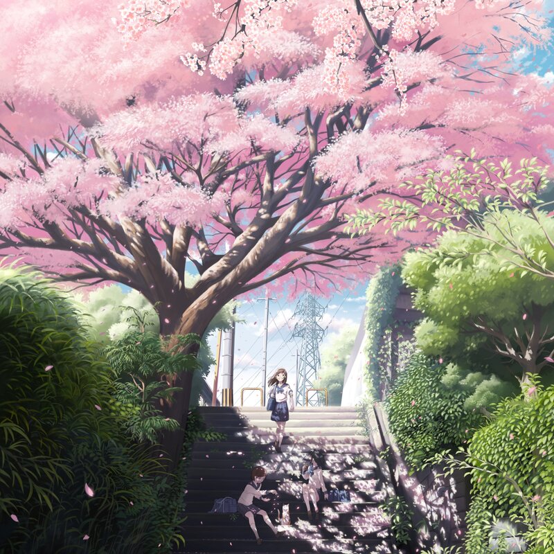 Girls under Cherry Blossoms — Pink, Serene
