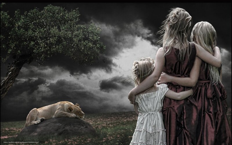 girls watching lion in storm