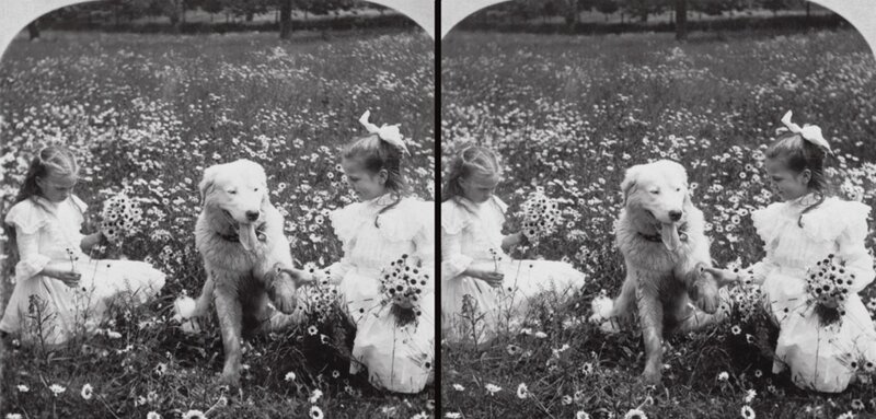 Girls with dog in field