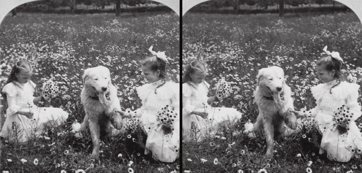 Girls with dog in field