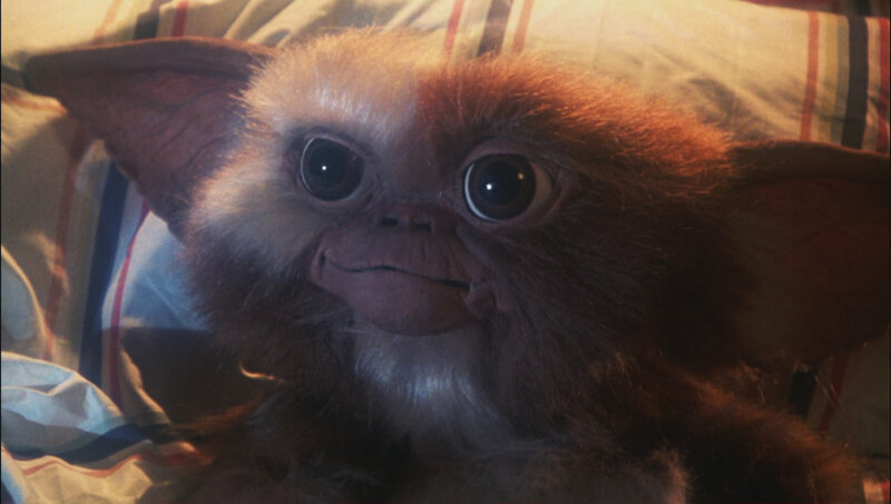 Gizmo Creature