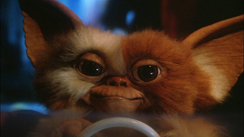 Gizmo from Gremlins — Brown