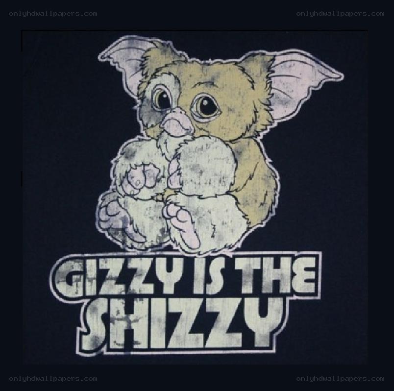 Gizmo is the Shizzy