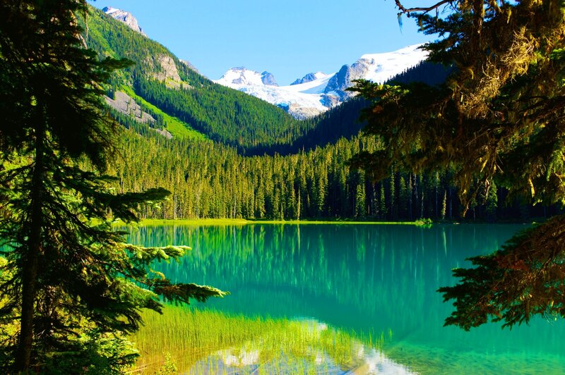 Glacial Lake in Forest — Green