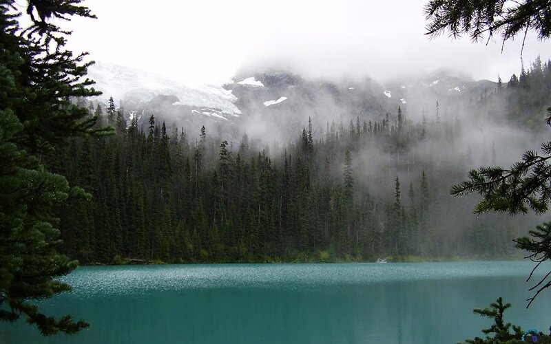 Glacial Lake in Forest