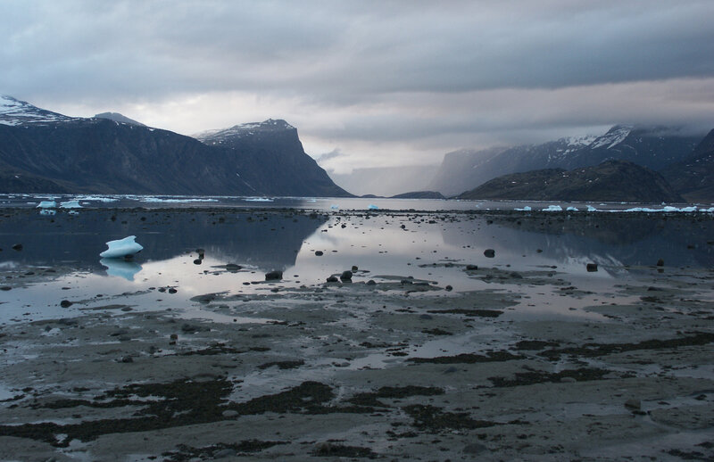 Glacial landscape with icebergs