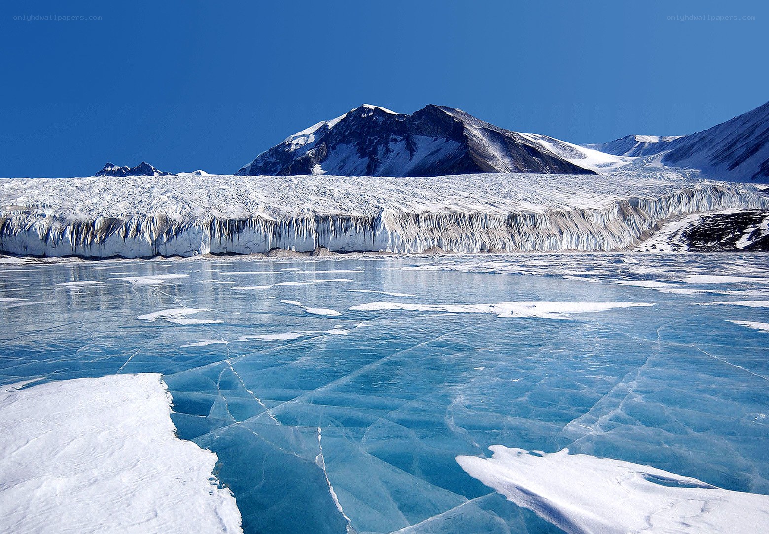 Glacier and ice field landscape
