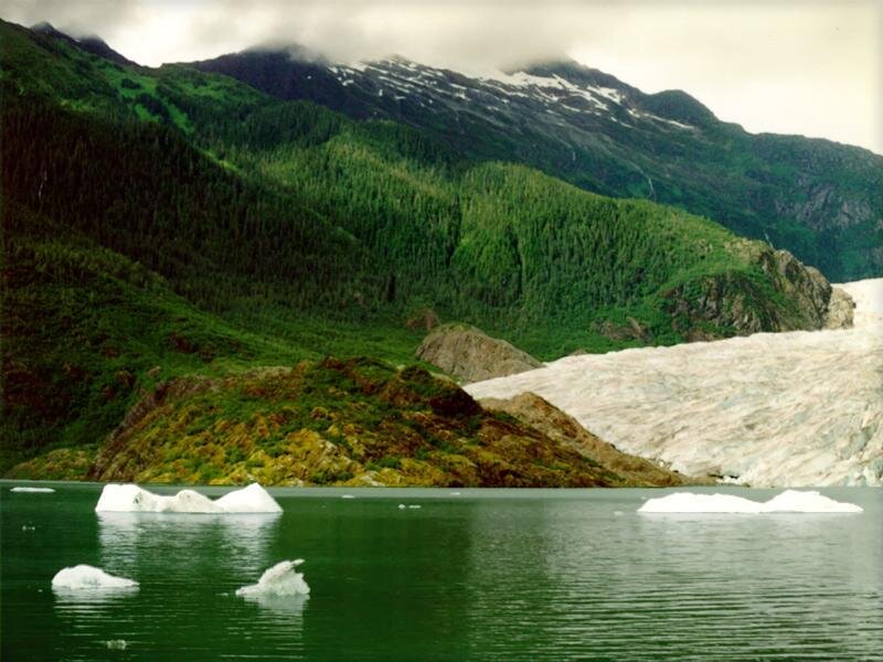 Glacier and icebergs in a fjord