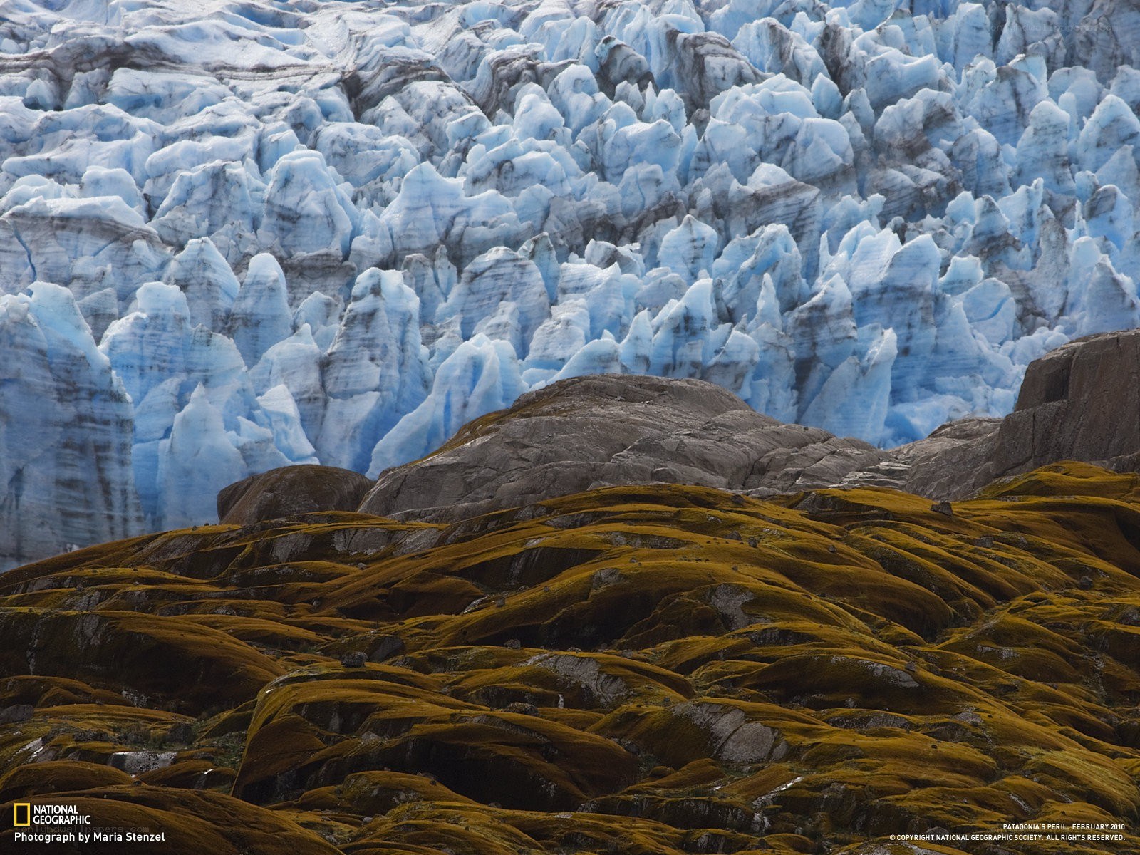 Glacier and moss-covered rocks