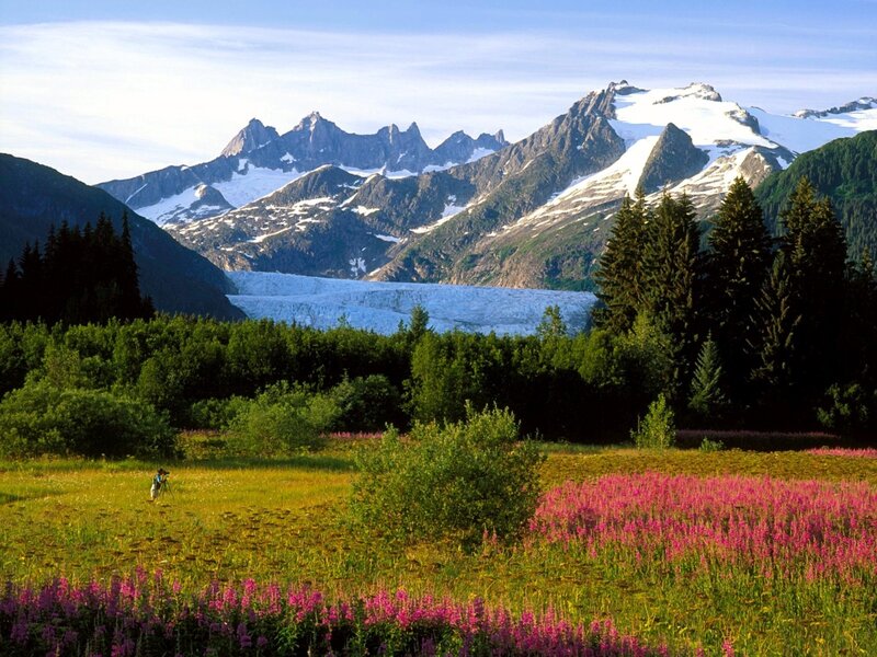Glacier and wildflowers in a mountain valley