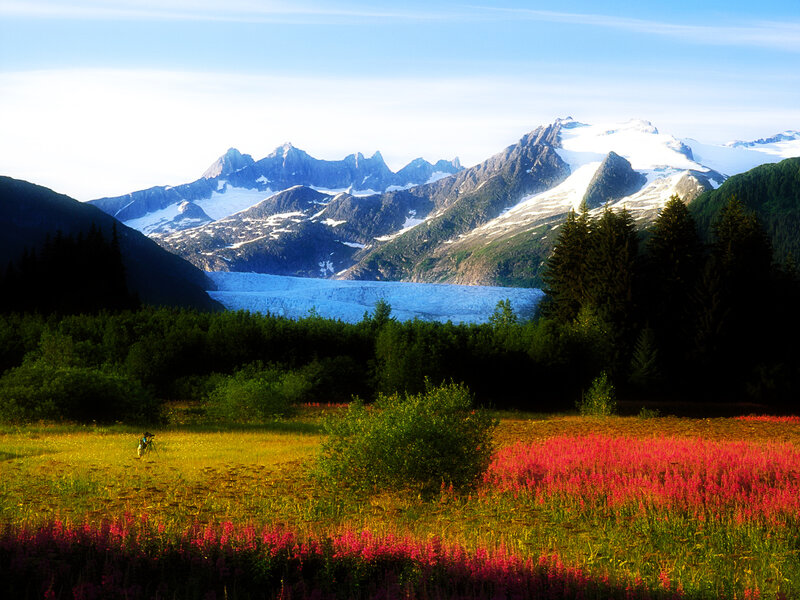 Glacier and wildflowers in Alaska
